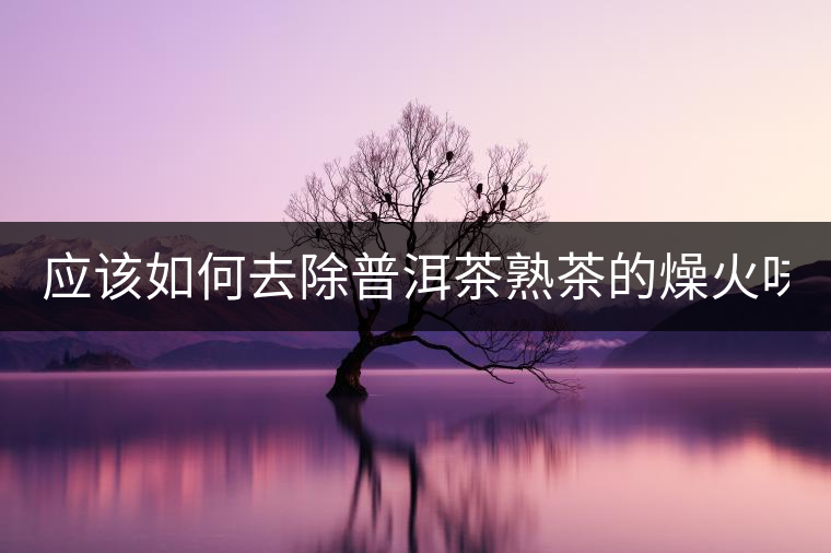 應(yīng)該如何去除普洱茶熟茶的燥火味？