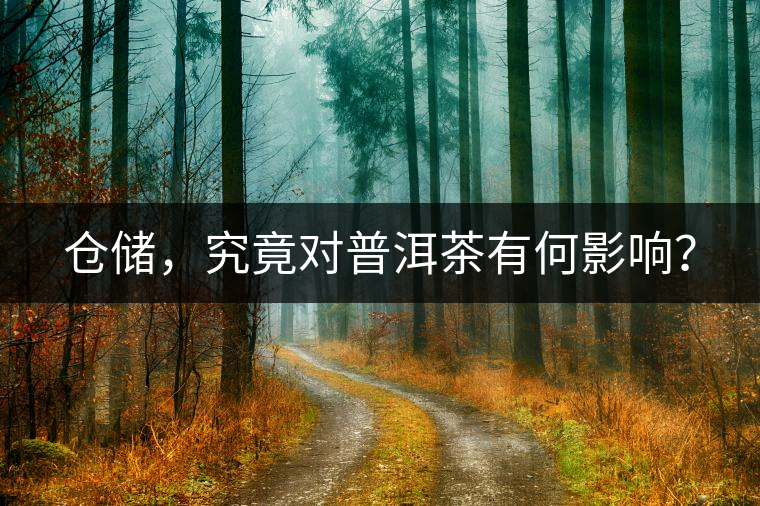 倉儲，究竟對普洱茶有何影響？