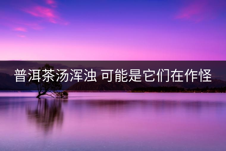 普洱茶湯渾濁 可能是它們在作怪 普洱茶湯渾濁 可能是它們在作怪