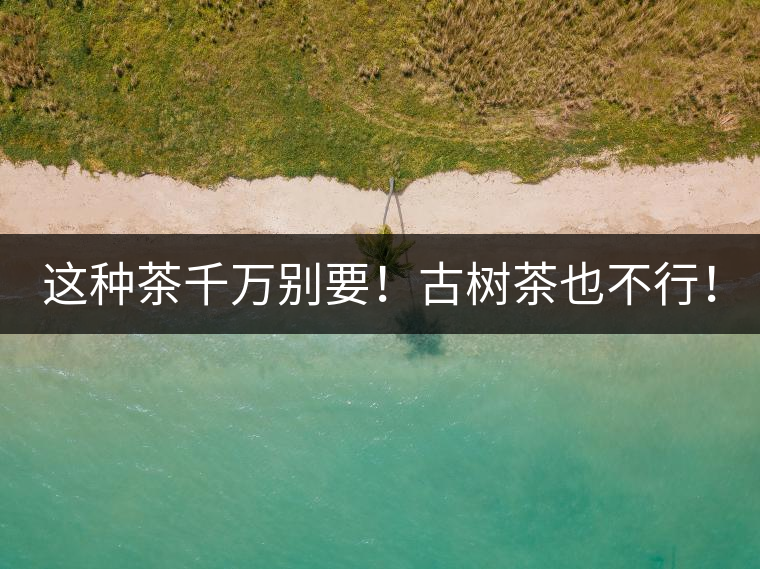 這種茶千萬別要！古樹茶也不行！
