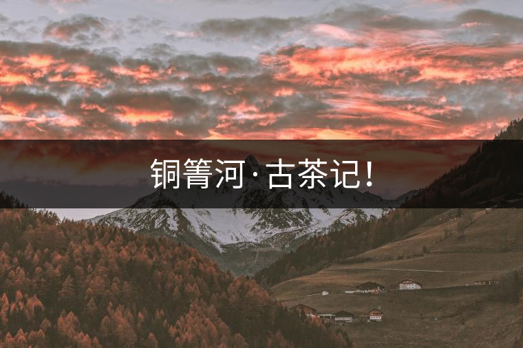 銅箐河·古茶記！