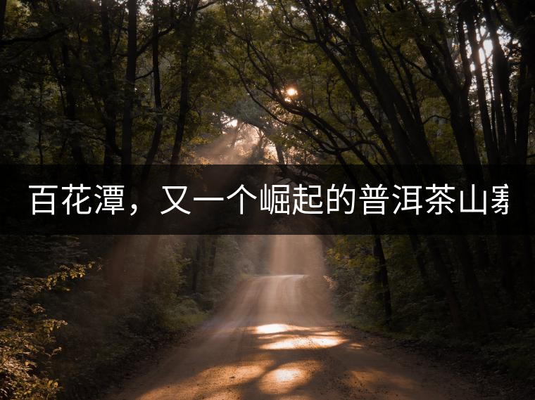 百花潭，又一個(gè)崛起的普洱茶山寨！