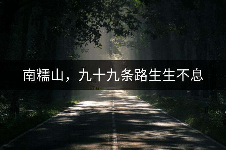 南糯山，九十九條路生生不息