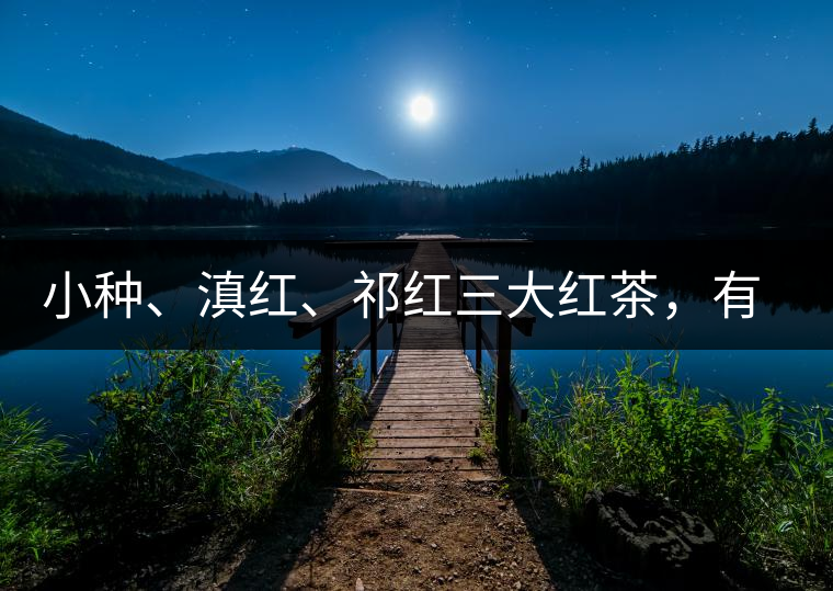 小種、滇紅、祁紅三大紅茶，有何區(qū)別
