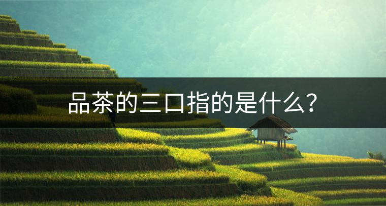 品茶的三口指的是什么？