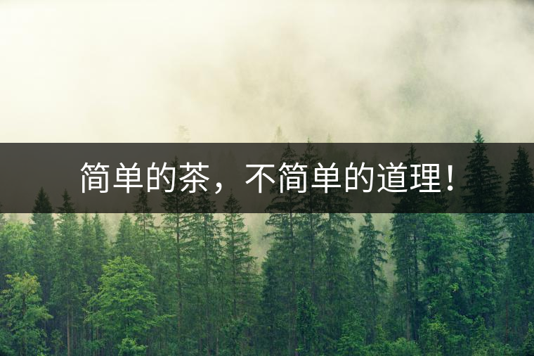 簡單的茶，不簡單的道理！