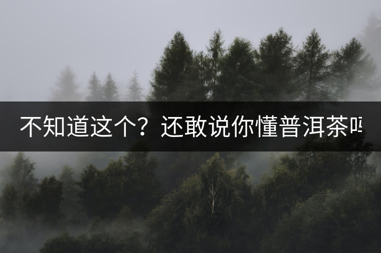 不知道這個？還敢說你懂普洱茶嗎？