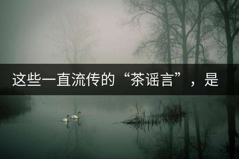這些一直流傳的“茶謠言”，是時(shí)候知道真相了