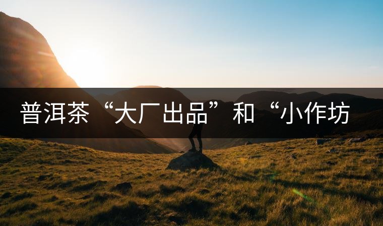 普洱茶“大廠出品”和“小作坊”，哪一個更值得購買？