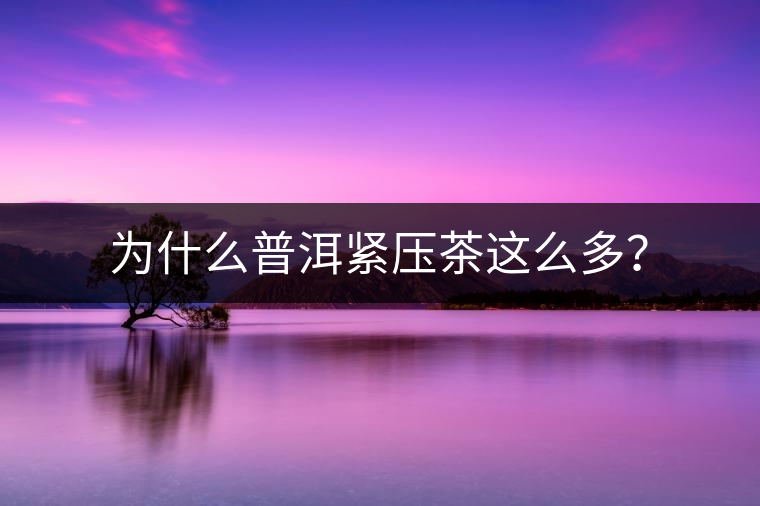為什么普洱緊壓茶這么多？