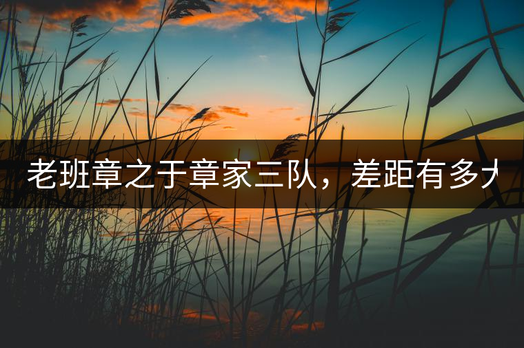 老班章之于章家三隊(duì)，差距有多大？