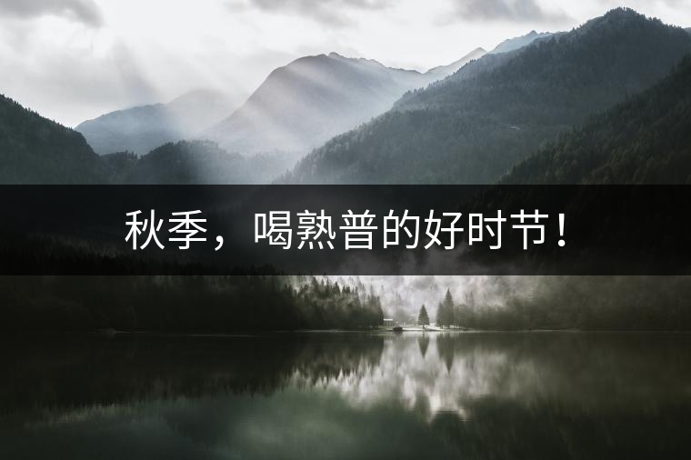 秋季，喝熟普的好時節(jié)！