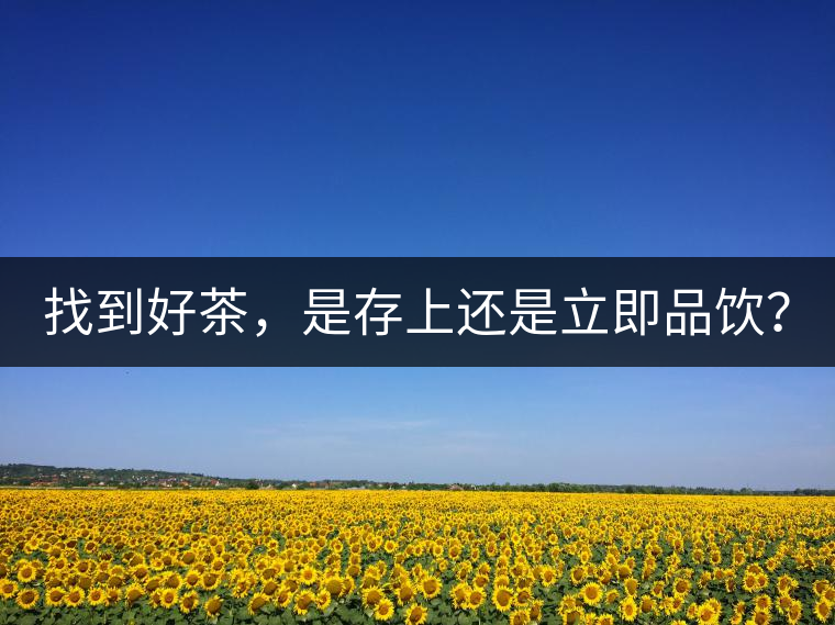 找到好茶，是存上還是立即品飲？