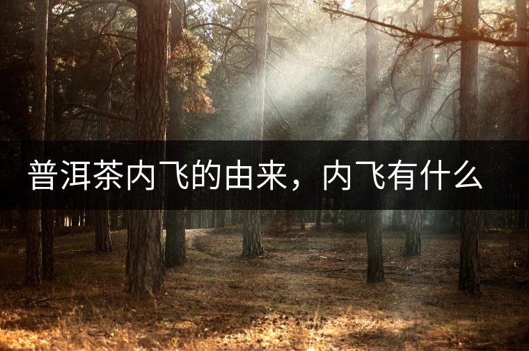 普洱茶內(nèi)飛的由來，內(nèi)飛有什么作用？