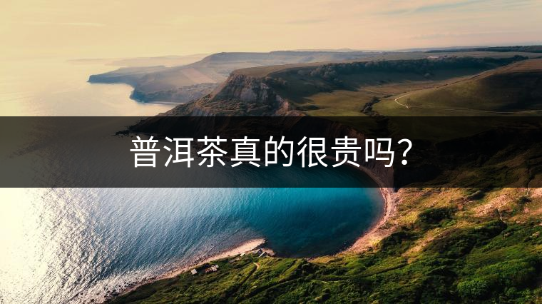 普洱茶真的很貴嗎？