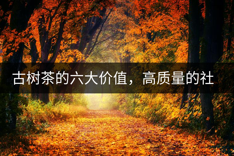 古樹茶的六大價值，高質(zhì)量的社交都離不開古樹茶