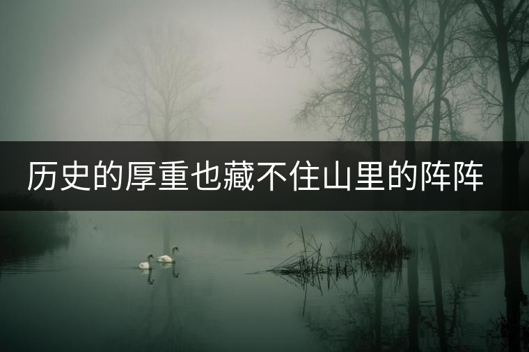 歷史的厚重也藏不住山里的陣陣茶香——攸樂(lè)古樹(shù)普洱