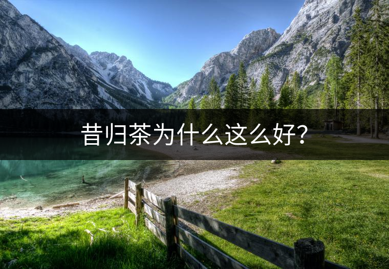 昔歸茶為什么這么好？
