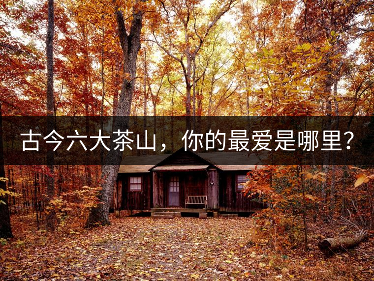 古今六大茶山，你的最愛是哪里？