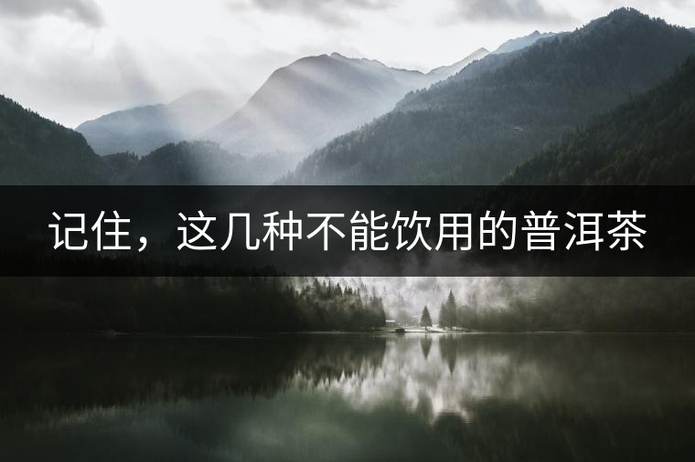 記住，這幾種不能飲用的普洱茶