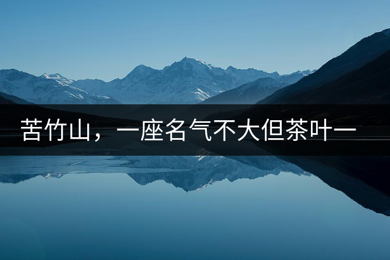 苦竹山，一座名氣不大但茶葉一流的古茶山