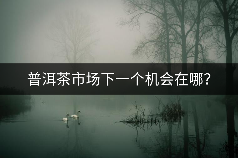 普洱茶市場下一個(gè)機(jī)會(huì)在哪？