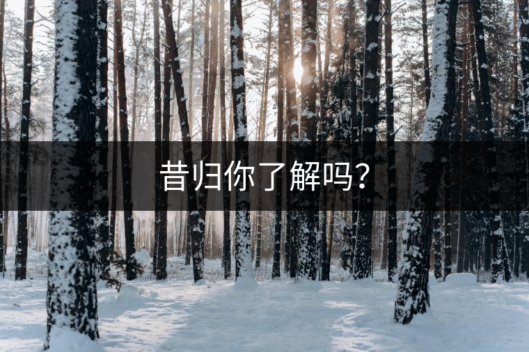 昔歸你了解嗎？