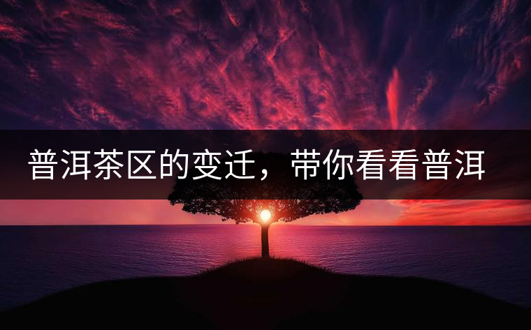 普洱茶區(qū)的變遷，帶你看看普洱茶地域分布