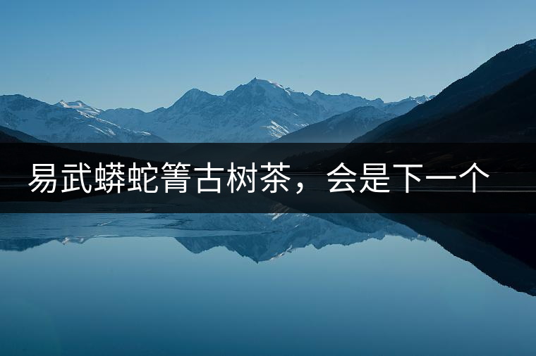 易武蟒蛇箐古樹茶，會(huì)是下一個(gè)銅箐河嗎？