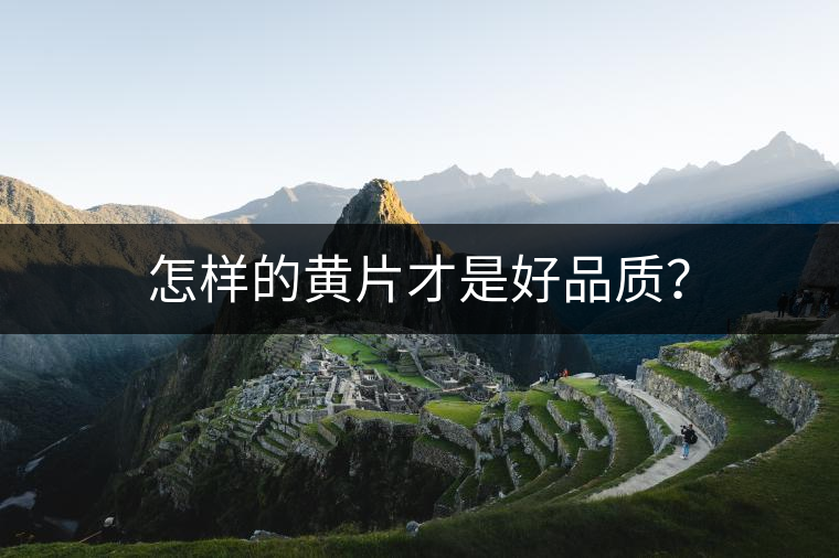 怎樣的黃片才是好品質(zhì)？