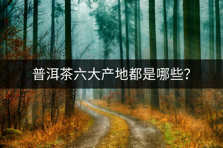 普洱茶六大產(chǎn)地都是哪些？