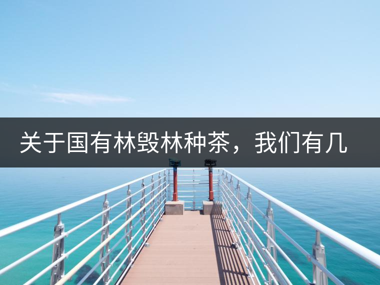 關(guān)于國(guó)有林毀林種茶，我們有幾點(diǎn)不得不說(shuō)