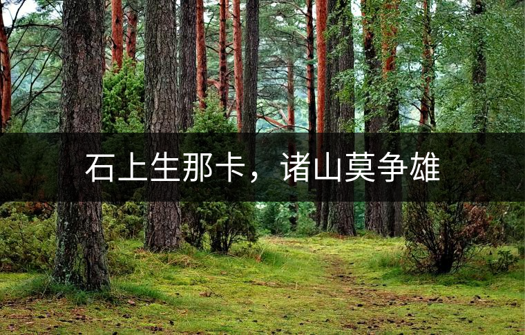 石上生那卡，諸山莫爭雄