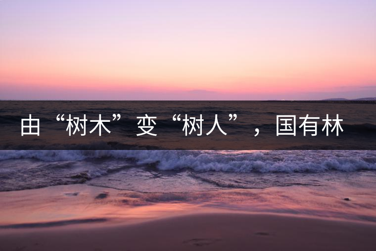 由“樹木”變“樹人”，國有林普洱茶為什么越來越受歡迎？