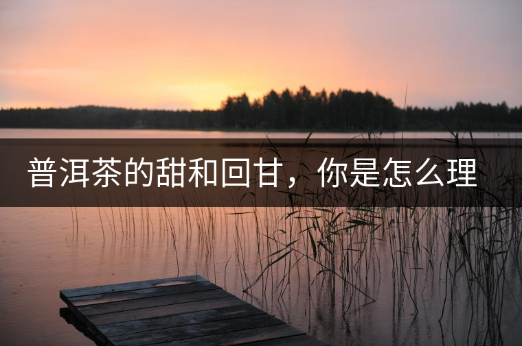 普洱茶的甜和回甘，你是怎么理解的？