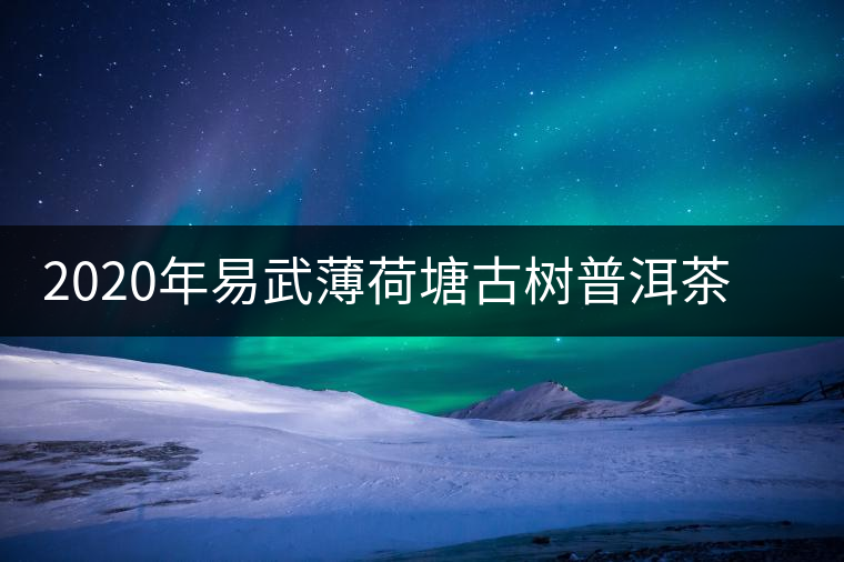 2020年易武薄荷塘古樹普洱茶特點，價格又上漲了嗎？