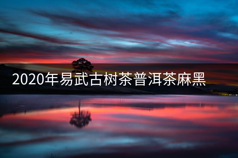 2020年易武古樹(shù)茶普洱茶麻黑春茶特點(diǎn)和價(jià)格