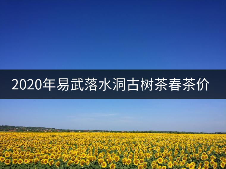 2020年易武落水洞古樹茶春茶價格和特點