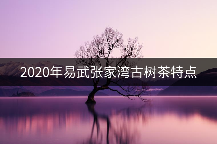 2020年易武張家灣古樹茶特點(diǎn)