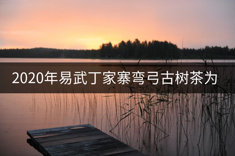 2020年易武丁家寨彎弓古樹茶為什么這么受追捧！