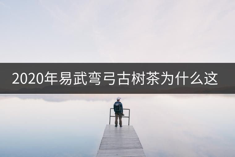 2020年易武彎弓古樹茶為什么這么貴？