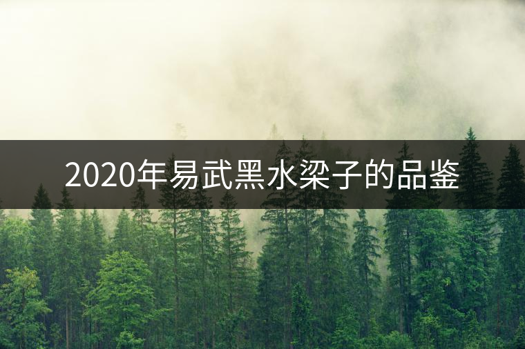 2020年易武黑水梁子的品鑒 2020年易武黑水梁子的品鑒