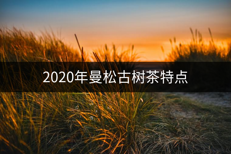 2020年曼松古樹茶特點 2020年曼松古樹茶特點