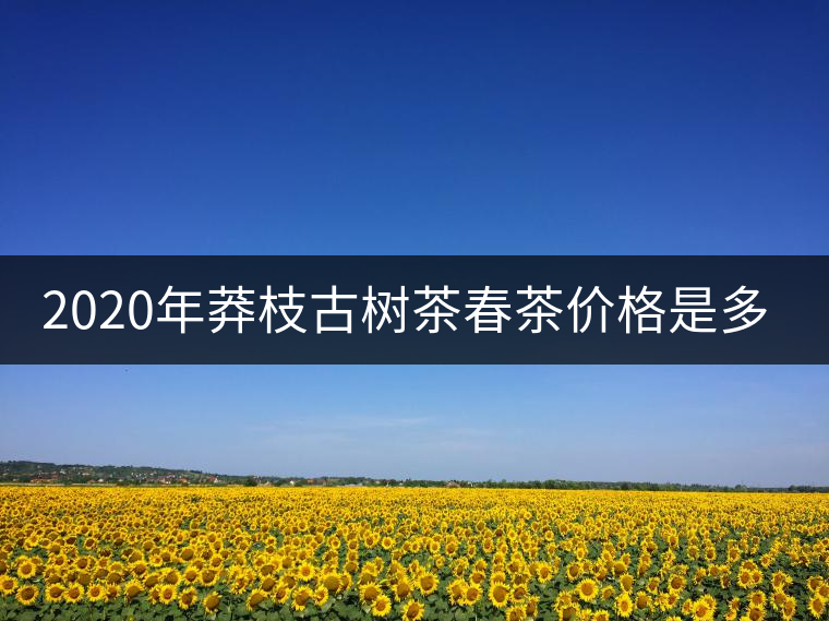 2020年莽枝古樹茶春茶價(jià)格是多少錢？
