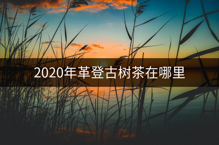 2020年革登古樹(shù)茶在哪里