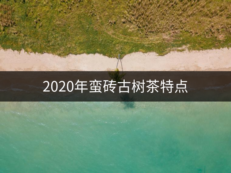 2020年蠻磚古樹茶特點(diǎn)