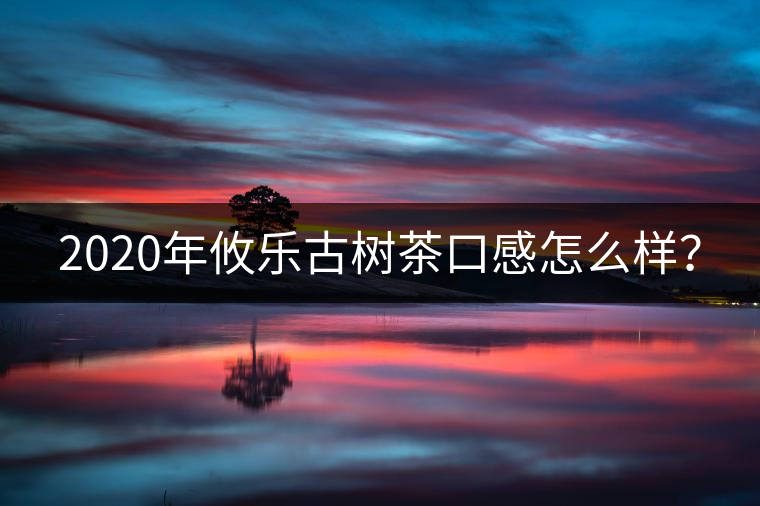 2020年攸樂古樹茶口感怎么樣？