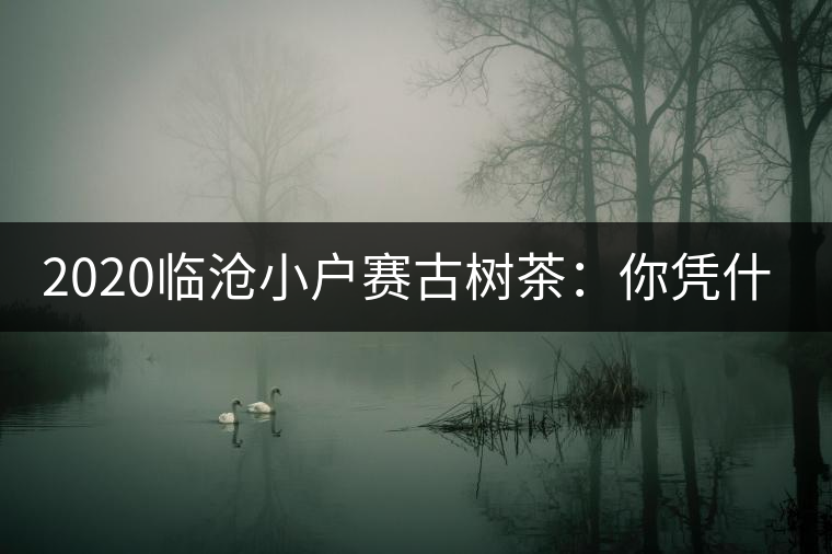 2020臨滄小戶賽古樹茶：你憑什么當(dāng)冰島賣？