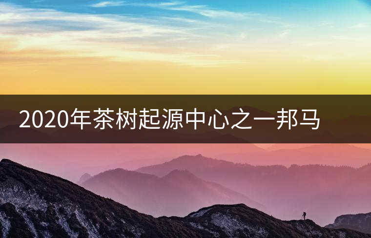 2020年茶樹起源中心之一邦馬大雪山上有哪些神秘的村寨？