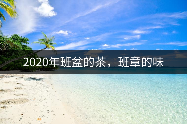 2020年班盆的茶，班章的味